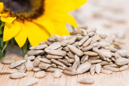 Semi di Girasole Bio